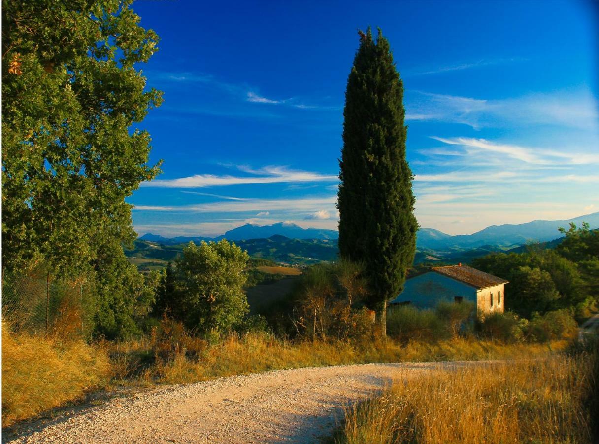 Ca'Lavalle B&B Urbino Exterior photo